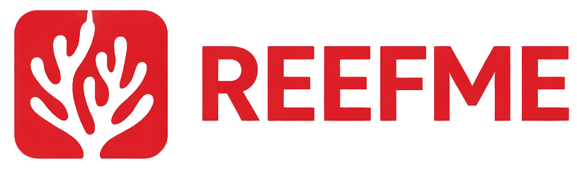 chatgpt image jan 14, 2026, 03 46 48 pm photoroom